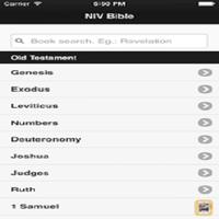 New NIV Bible Affiche