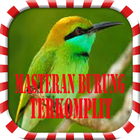 Masteran Burung Terkomplit アイコン