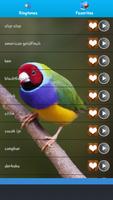 Ringtone Bird Sound capture d'écran 1