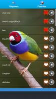 Ringtone Bird Sound screenshot 2