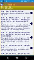 Chinese Vietnamese Dictionary capture d'écran 3