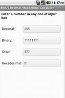 Binary Decimal Hex Converter Affiche