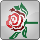 Ivy Rose Music APK