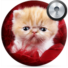 Cute Kitten Lock Screen icon
