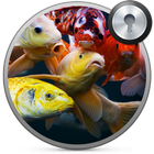 Koi Fish Lock Screen Zeichen