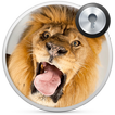 Lion Lock Screen