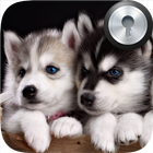 Siberian Husky Lock Screen أيقونة
