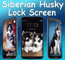 Siberian Husky Lock Screen الملصق