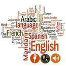 Language Helper- All languages APK