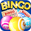 Bingo✪ APK