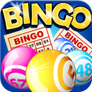 Bingo✪ APK