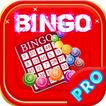 Free Bingo Game -In Xmas Theme
