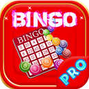 Jeu de Bingo - Thème de Noël APK