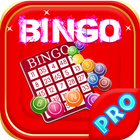 Free Bingo Game -In Xmas Theme 아이콘
