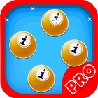 Bingo Casino Game Free icon