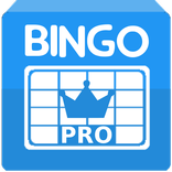 Bingo Revolution PRO