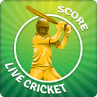 Live Cricket Score simgesi