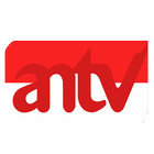 tv indonesia - ANTV TV icône