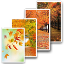 Wallpaper Autumn  HD | Background 4K Image APK