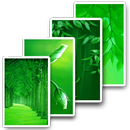 HD Wallpaper Green Nature 4K Backgrounds Images APK