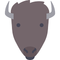 BiSondage