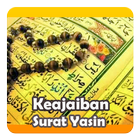 Keajaiban Surat Yasin icon