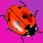 Cute Ladybugs Live Wallpaper icône