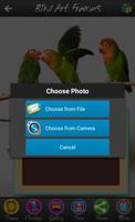 Bird Art Frames स्क्रीनशॉट 2