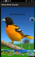 Black Birds Sounds screenshot 3