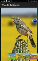Wren Birds Sounds screenshot 2