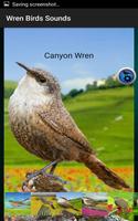 Wren Birds Sounds screenshot 3