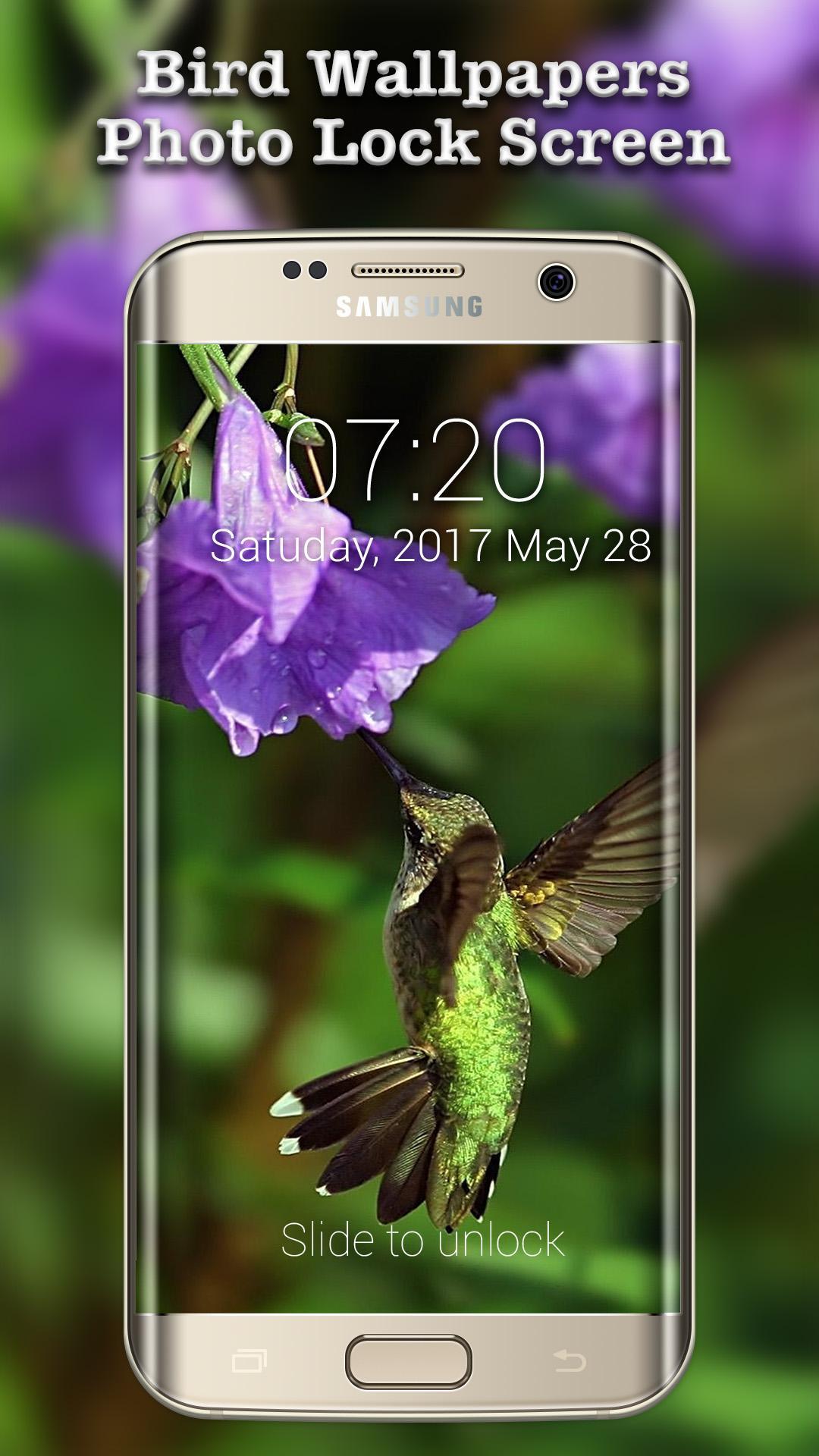 Android 用の 鳥の壁紙のロック画面 Photo Lockscreen Apk をダウンロード