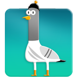 Bird Space