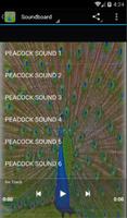 پوستر Peacock Sounds and Ringtones