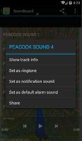برنامه‌نما Peacock Sounds and Ringtones عکس از صفحه