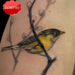 Bird Tattoos