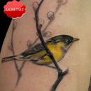 Bird Tattoos APK