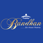 Bandhan KYC icon