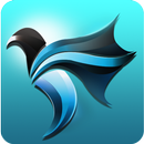APK BirdVpn: Super Hotspot Free Proxy Master