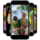 Bird Wallpapers Zeichen