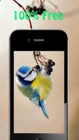 Bird Wallpapers captura de pantalla 1