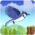Bird World Kingdom icône