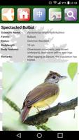 Sabah Birds 스크린샷 2