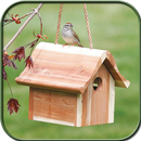 Bird House Ideas APK