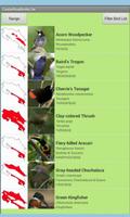 Costa Rica Birds Lite v9 poster