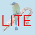 Panama Birds Lite Field Guide icône