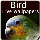 Bird Live Wallpaper - Cute Bird Wallpaper & Editor APK