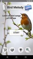 Chants d'oiseaux d'Europe - Quiz & Guide Affiche