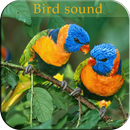 Bird Sound-APK