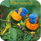 Bird Sound icon